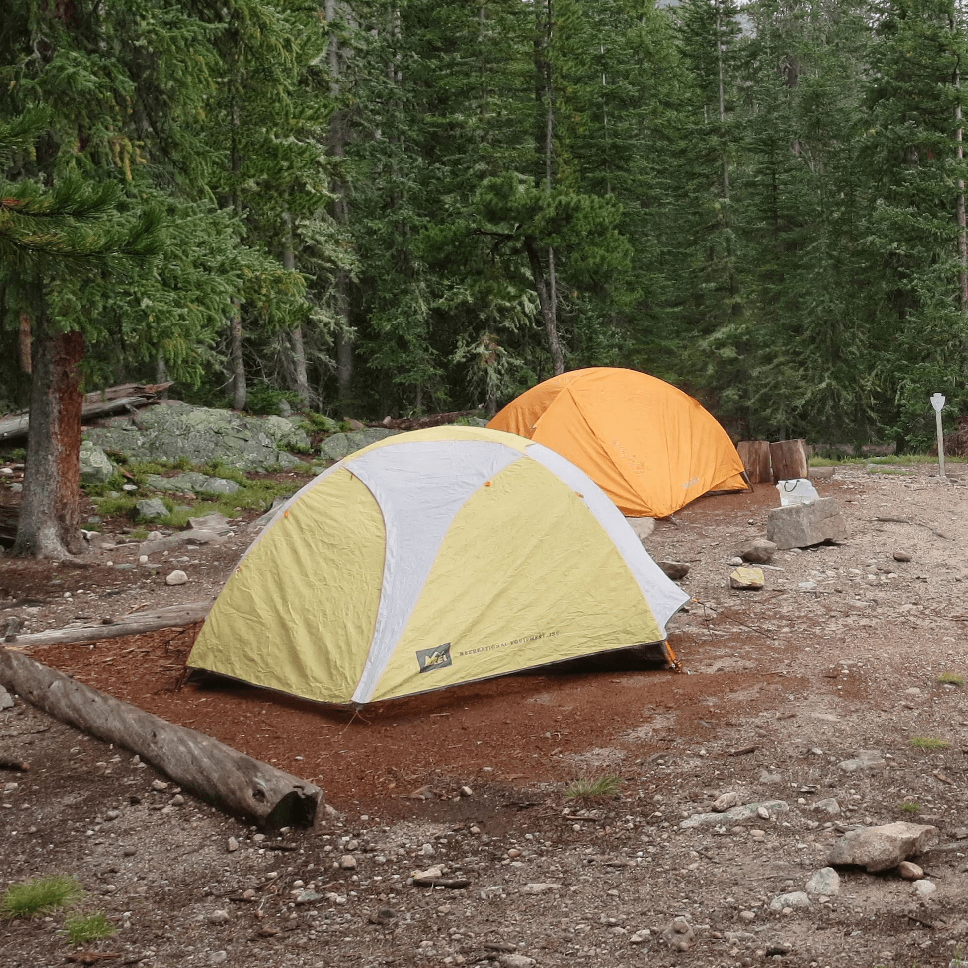 How to Find Free Campsites: 7 Apps and Strategies for Van Lifers