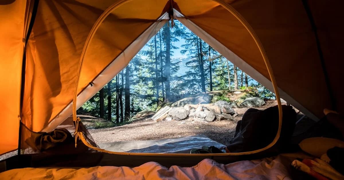 Best States for Van Life in 2026: Ranked by Cost, Weather & Freedom